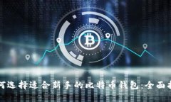 如何选择适合新手的比特币钱包：全面指南