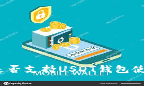 哈萨克斯坦是否支持USDT钱包使用？全面解析