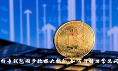 比特币钱包同步数据大揭秘：如何与解决常见问