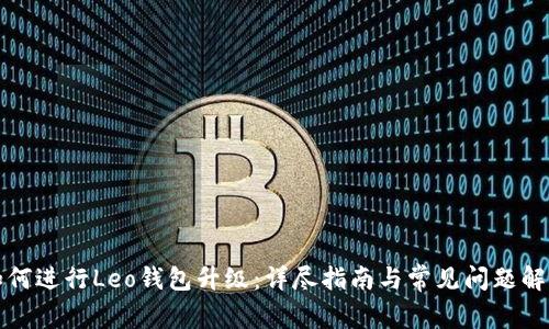 如何进行Leo钱包升级：详尽指南与常见问题解析