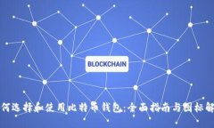 如何选择和使用比特币钱包：全面指南与图标解