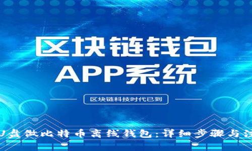 如何用U盘做比特币离线钱包：详细步骤与注意事项