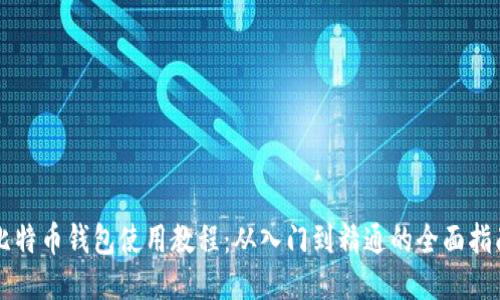 比特币钱包使用教程：从入门到精通的全面指南