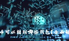 MATIC代币可以转到哪些钱包？全面解析与指导
