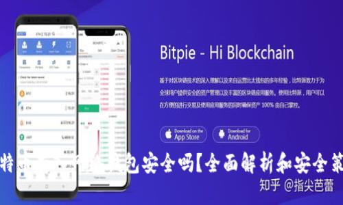 比特币存入网络钱包安全吗？全面解析和安全策略