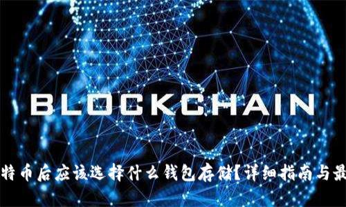 买了比特币后应该选择什么钱包存储？详细指南与最佳实践