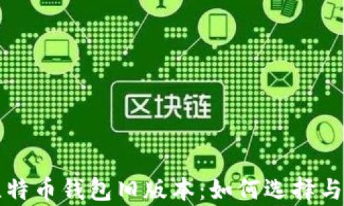 
全面解析比特币钱包旧版本：如何选择与安全性分析