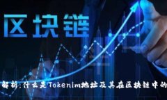 深度解析：什么是Tokenim地址及其在区块链中的应