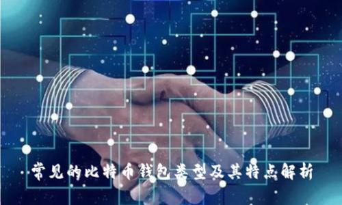 常见的比特币钱包类型及其特点解析