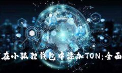 如何在小狐狸钱包中添加TON：全面指南