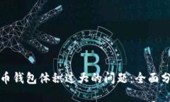如何解决比特币钱包体积过大的问题：全面分析