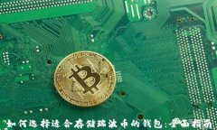 如何选择适合存储瑞波币的钱包：全面指南