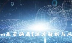 Tokenim是否骗局？深度解析与风险分析
