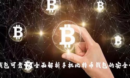 手机比特币钱包可靠吗？全面解析手机比特币钱包的安全性与使用体验