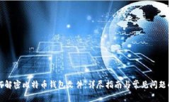 如何解密比特币钱包文件：详尽指南与常见问题