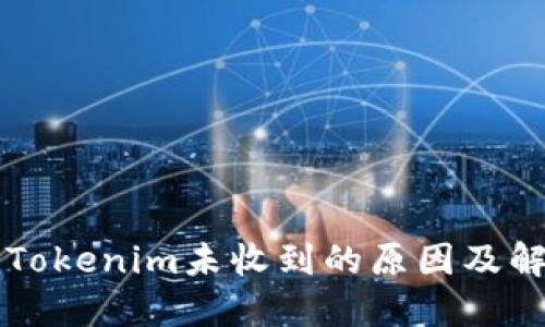 转账到Tokenim未收到的原因及解决方案