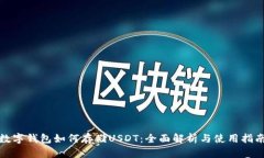 数字钱包如何存储USDT：全面解析与使用指南