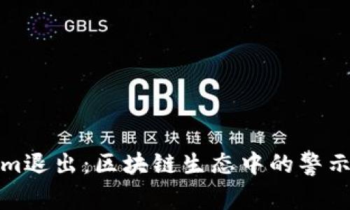 Tokenim退出：区块链生态中的警示与启示