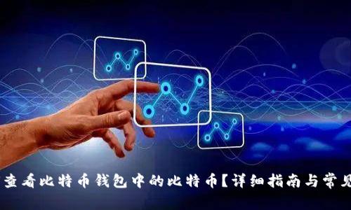 ## 如何查看比特币钱包中的比特币？详细指南与常见问题解析