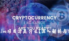 ### Tokenim项目方是什么？深入解析与相关问题探讨