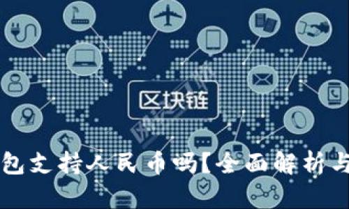 比特儿钱包支持人民币吗？全面解析与使用指南