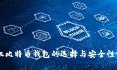 手机比特币钱包的选择与安全性分析