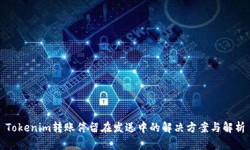 Tokenim转账停留在发送中的解决方案与解析