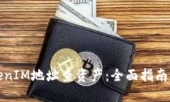 如何用TokenIM地址查资产：全面指南与实用技巧
