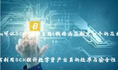 关于＂TokenIm可以BCH＂这个主题，我将为您制定一