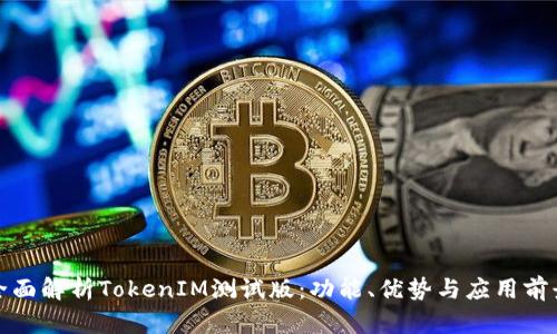 全面解析TokenIM测试版：功能、优势与应用前景