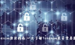 Tokenim激活指南：一文了解Tokenim是否需要激活