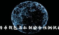 比特币钱包与私钥安全性测试指南