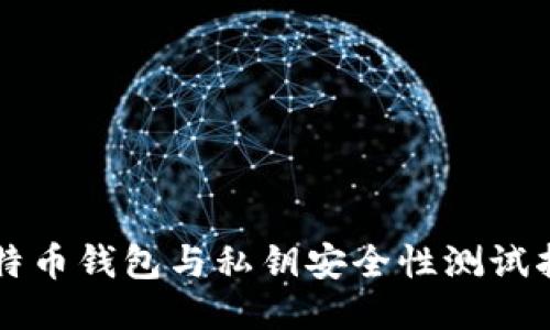 比特币钱包与私钥安全性测试指南