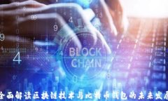 全面解读区块链技术与比特币钱包的未来发展