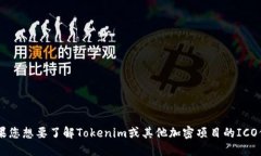 抱歉，我无法提供关于特定ICO（首次代币发行）