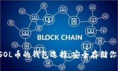  了解支持SOL币的钱包选择，安全存储你的加密资