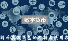比特币存储钱包的选择与使用指南