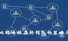 长期持有比特币放在热钱包的策略与风险分析