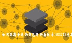 : 如何选择合适的钱包进行泰达币（USDT）兑换