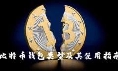 比特币钱包类型及其使用指南