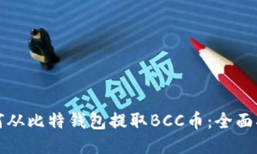 如何从比特钱包提取BCC币：全面指南