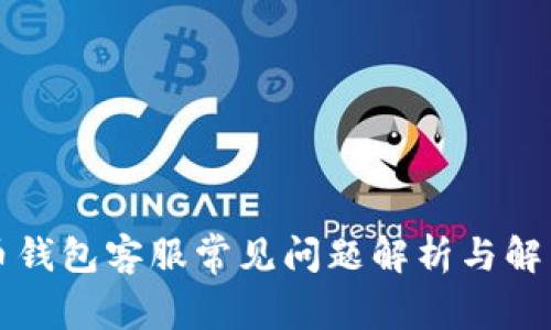 比特币钱包客服常见问题解析与解决方案