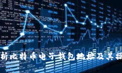 全面解析比特币电子钱包地址及其操作指南