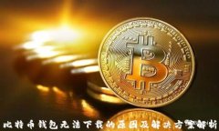 比特币钱包无法下载的原因及解决方案解析