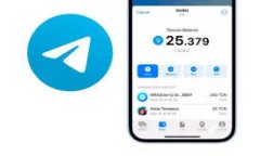   如何在Tokenim中查看助记词 /  guanjianci Tokenim, 助