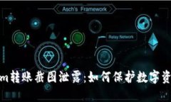 Tokenim转账截图泄露：如何保护数字资产安全