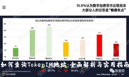 如何查询TokenIM地址：全面解析与实用指南