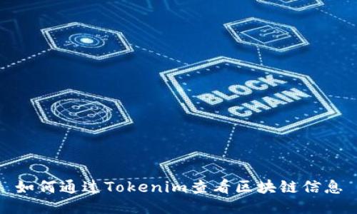如何通过Tokenim查看区块链信息