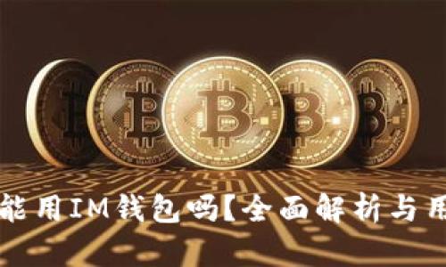 瑞波币能用IM钱包吗？全面解析与用户指南
