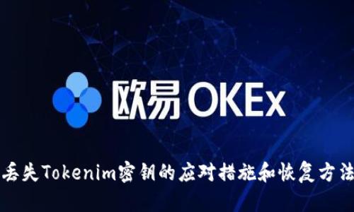 丢失Tokenim密钥的应对措施和恢复方法
